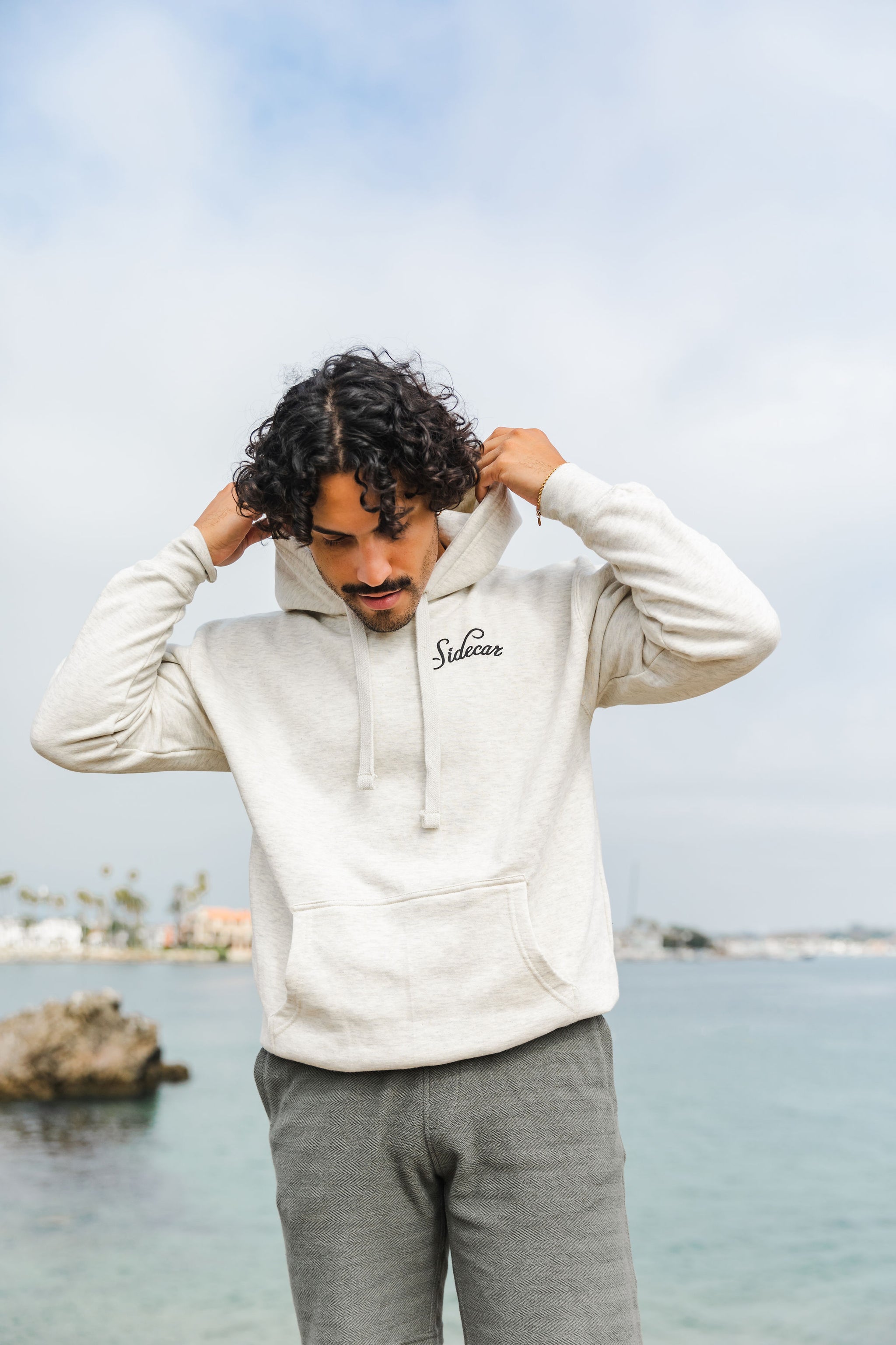 VAN LIFE HOODIE - OATMEAL HEATHER – Sidecar Doughnuts